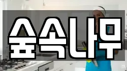 숲속나무
