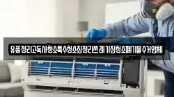 경상남도 밀양시 부북면 청소,입주청소,사무실청소,에어컨청소,특수청소,상가청소,거주청소,유품정리