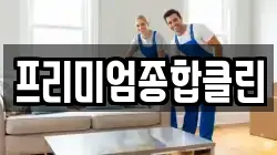 프리미엄종합클린