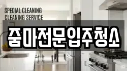 줌마전문입주청소