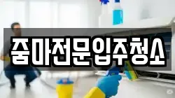 줌마전문입주청소