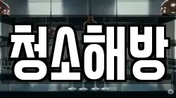 청소해방