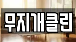 경상남도 사천시 이금동 청소,입주청소,사무실청소,에어컨청소,특수청소,상가청소,거주청소,유품정리