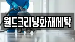 월드크리닝화재세탁