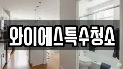 와이에스특수청소