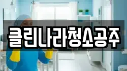 클린나라청소공주