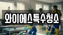 와이에스특수청소