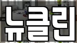 뉴클린