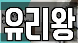 유리왕