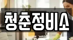 청춘정비소