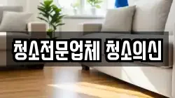 청소전문업체 청소의신