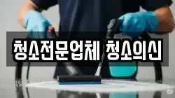 청소전문업체 청소의신