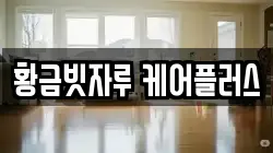 황금빗자루 케어플러스