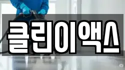 클린이액스