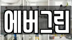 에버그린