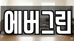 에버그린