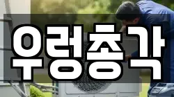 경상남도 창원시 마산합포구 월남동5가 청소,입주청소,사무실청소,에어컨청소,특수청소,상가청소,거주청소,유품정리