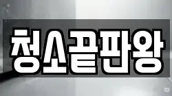 청소끝판왕