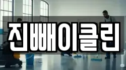 진빼이클린