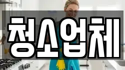 청소업체
