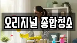 오리지널 종합청소
