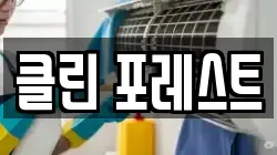 클린 포레스트