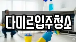 다미르입주청소