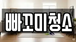 빠꼬미청소