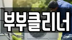 부부클리너