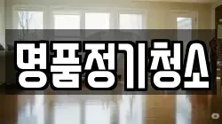 명품정기청소