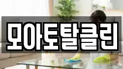 모아토탈클린