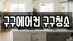 구구에어컨 구구청소