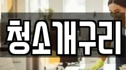 청소개구리