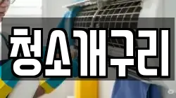 청소개구리