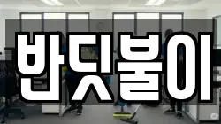 반딧불이