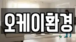 경상남도 하동군 청소,입주청소,사무실청소,에어컨청소,특수청소,상가청소,거주청소,유품정리