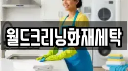 월드크리닝화재세탁