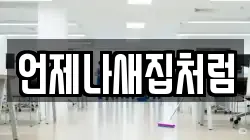 언제나새집처럼