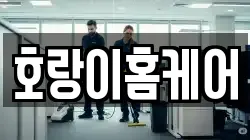 호랑이홈케어