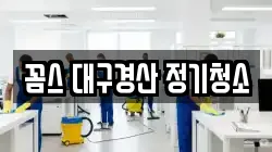 꼼스 대구경산 정기청소