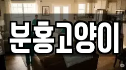 분홍고양이