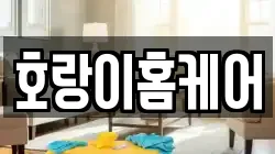 호랑이홈케어