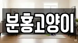 분홍고양이