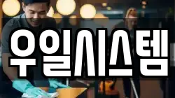우일시스템