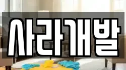 사라개발