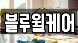 블루윌케어
