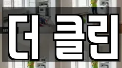더 클린