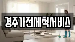 경주가전세척서비스