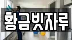 황금빗자루