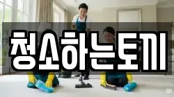 청소하는토끼